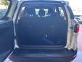 Ford EcoSport 1.0 EcoBoost 125 CV Start&Stop Active Bianco - thumbnail 9