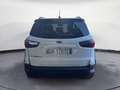 Ford EcoSport 1.0 EcoBoost 125 CV Start&Stop Active Bianco - thumbnail 5