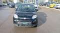 Fiat Panda *PROMO* 1.0 FireFly S&S Hybrid Nero - thumbnail 2