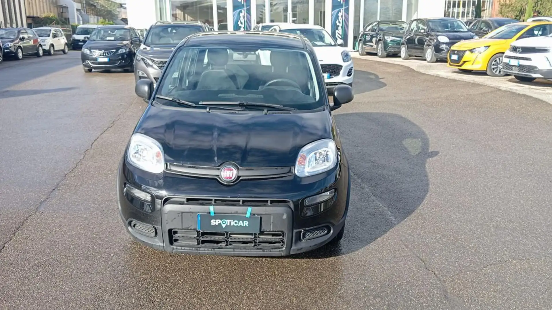 Fiat Panda *PROMO* 1.0 FireFly S&S Hybrid Nero - 2