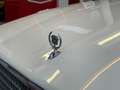 Cadillac Eldorado V8 Aut. / PICKERL NEU / Biały - thumbnail 12