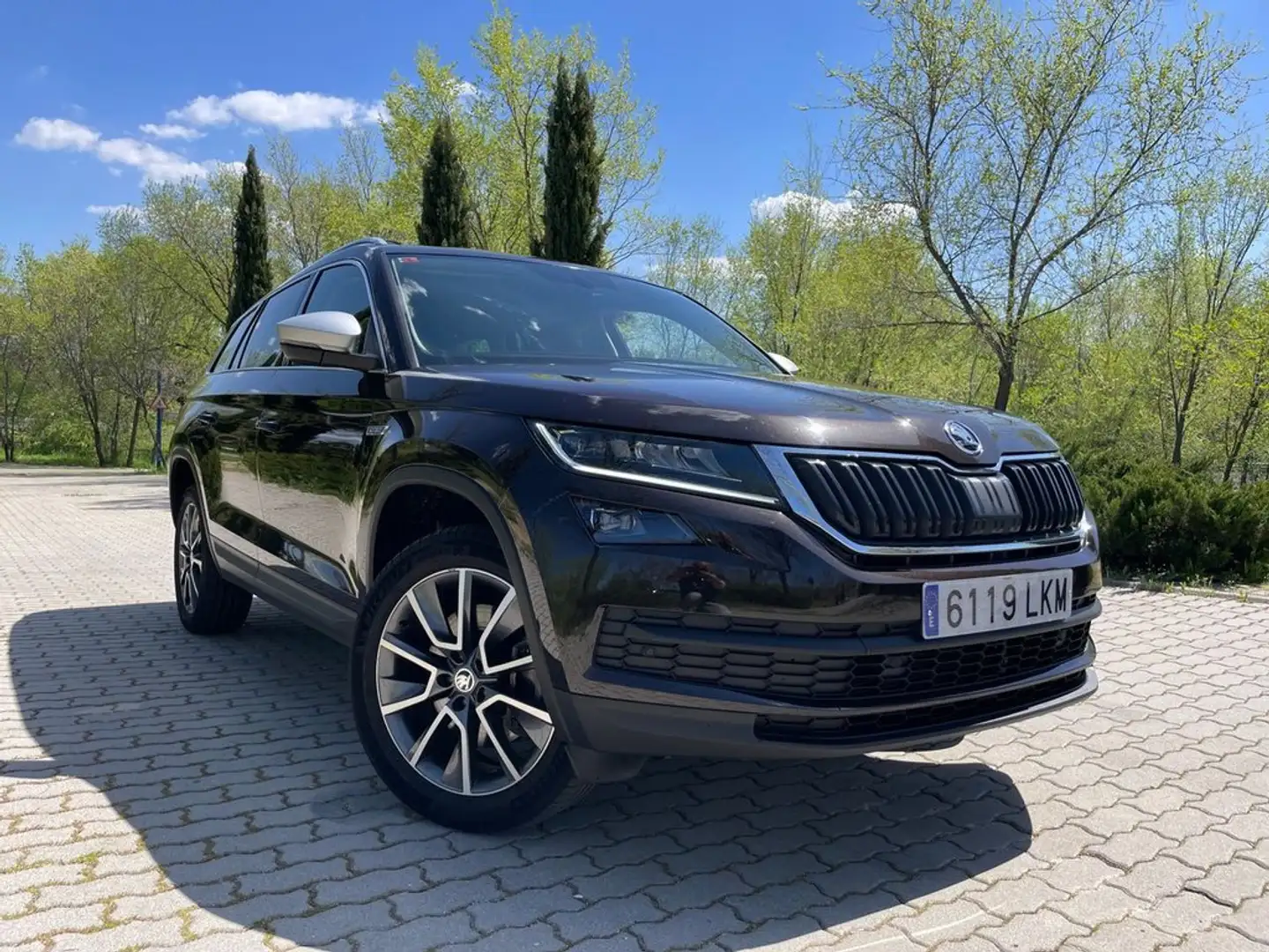 Skoda Kodiaq 2.0 TDI 140 kW 190CV Scout DSG 4x4 Marrón - 2