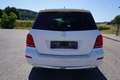 Mercedes-Benz GLK 220 CDI 4Matic BlueEfficie Weiß - thumbnail 5