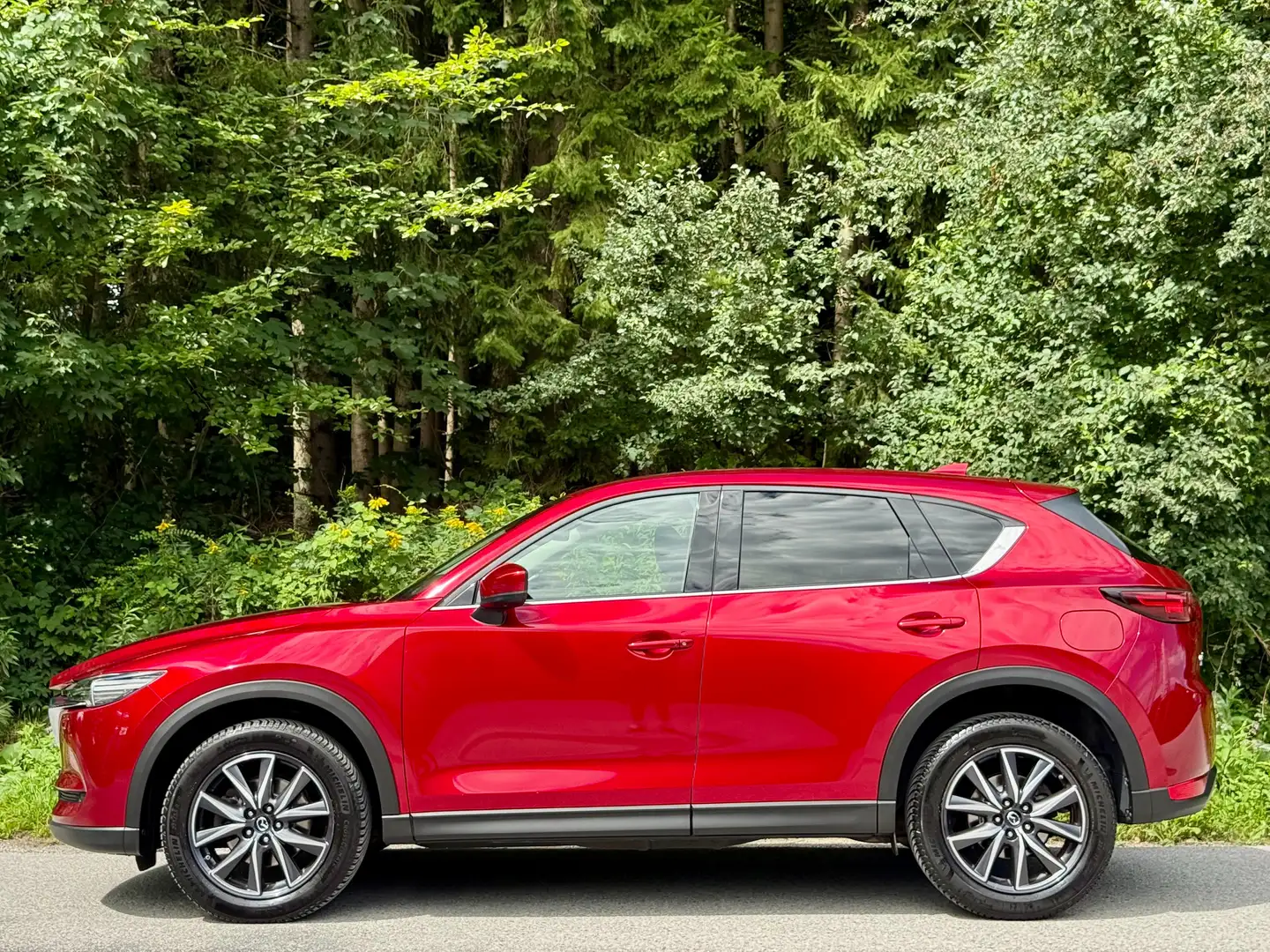 Mazda CX-5 Revolution AWD*ALLRAD*360CAM*BOSE*KESSY*SPUR*HUP* Rouge - 2