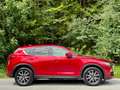 Mazda CX-5 Revolution AWD*ALLRAD*360CAM*BOSE*KESSY*SPUR*HUP* Rouge - thumbnail 5