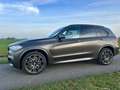 BMW X5 X5 xDriveM50i High Executive 7p Brons - thumbnail 5