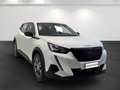 Peugeot 2008 II 2020 1.2 puretech Active Pack s&s 100cv Bianco - thumbnail 17