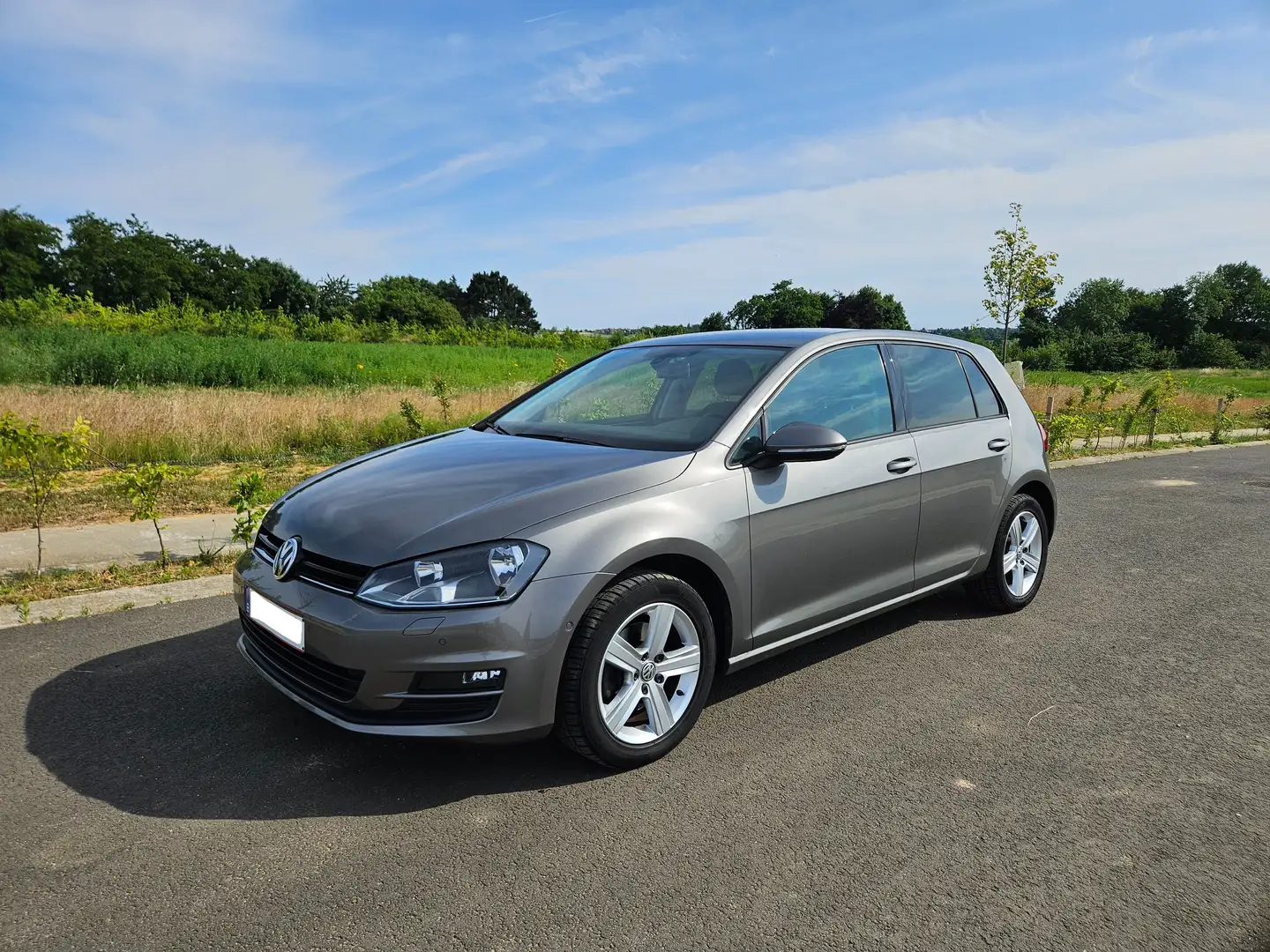 Volkswagen Golf Golf 1.2 TSI Trendline Gris - 1