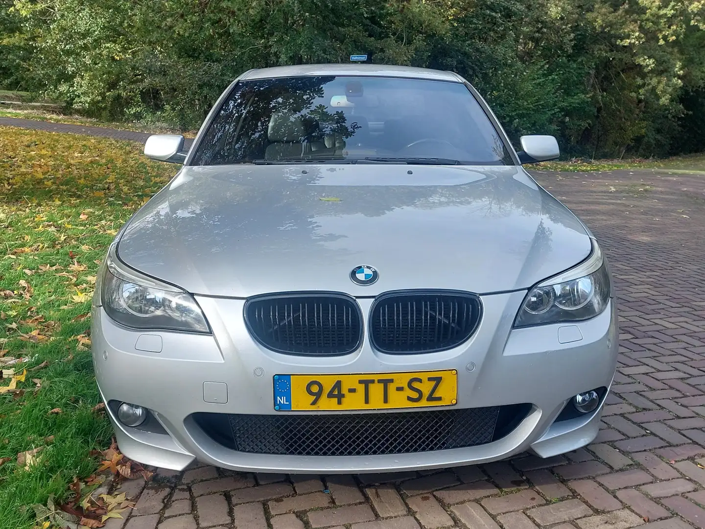 BMW 525 525 525d Executive Zilver - 1