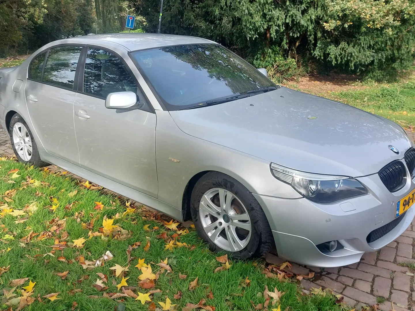 BMW 525 525 525d Executive Zilver - 2