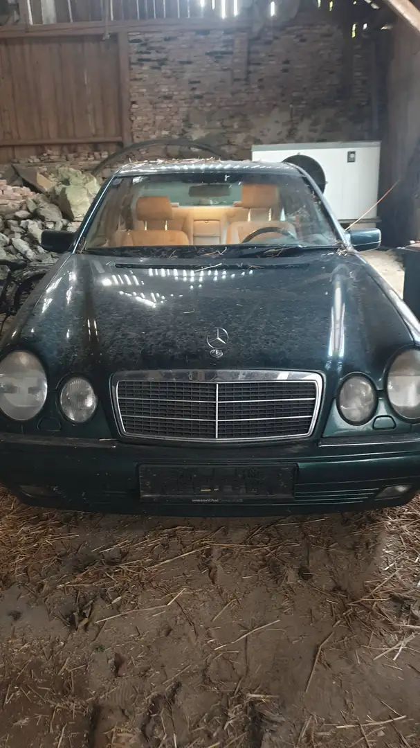 Mercedes-Benz E 240 Avandgarde Grün - 1