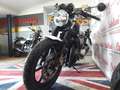 Royal Enfield Continental GT CONTINENTAL GT   650cc SLIPSTREAM Nero - thumbnail 11