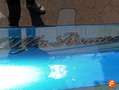 Alfa Romeo Junior Ibrida 107kW (145CV) Verde - thumbnail 21