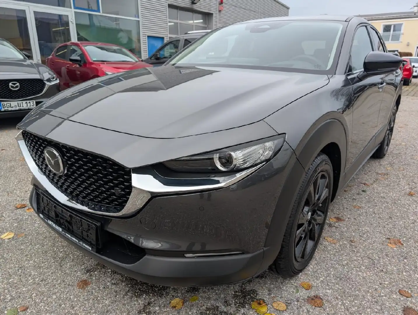 Mazda CX-30 Homura 2WD Kamera Keyless ACC PDC Grau - 1