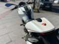 Ducati Monster 696 Blanco - thumbnail 11