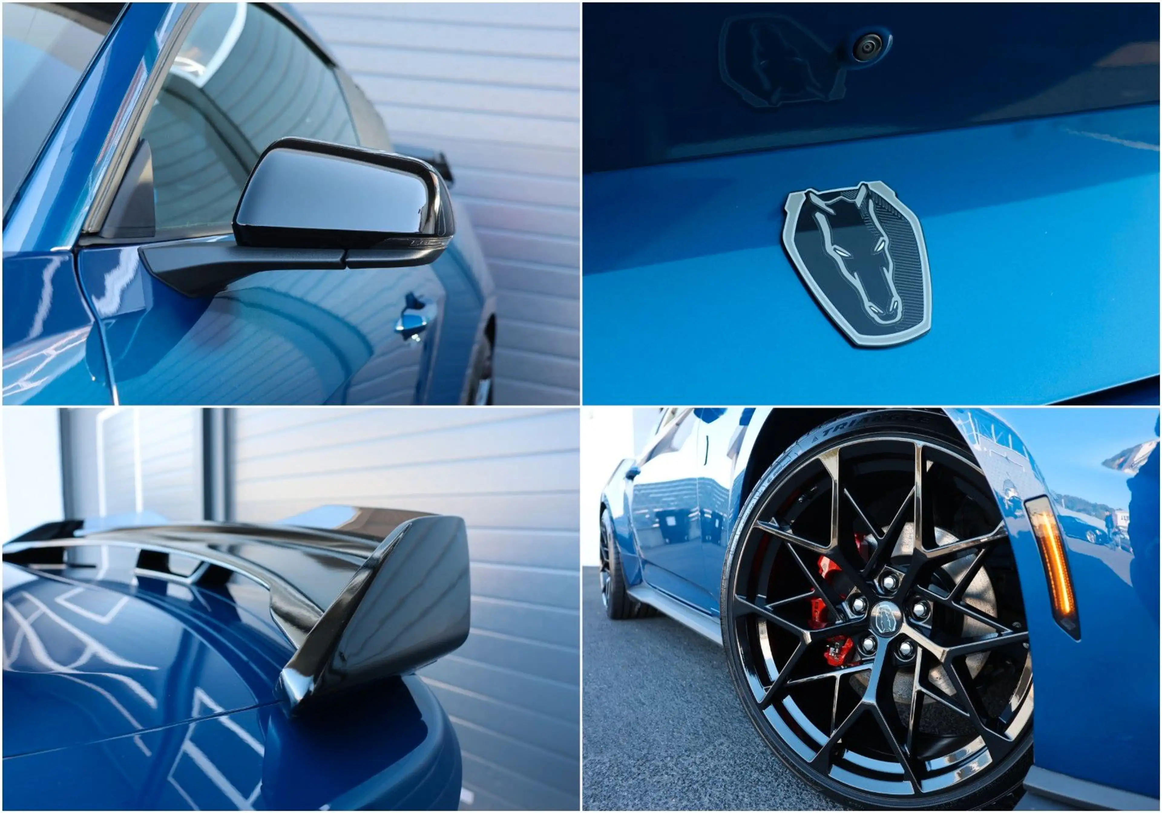 Ford Mustang 2.3 DARK HORSE/SHZ/KAMERA/TOTW/SPUR/R20 — photo 11