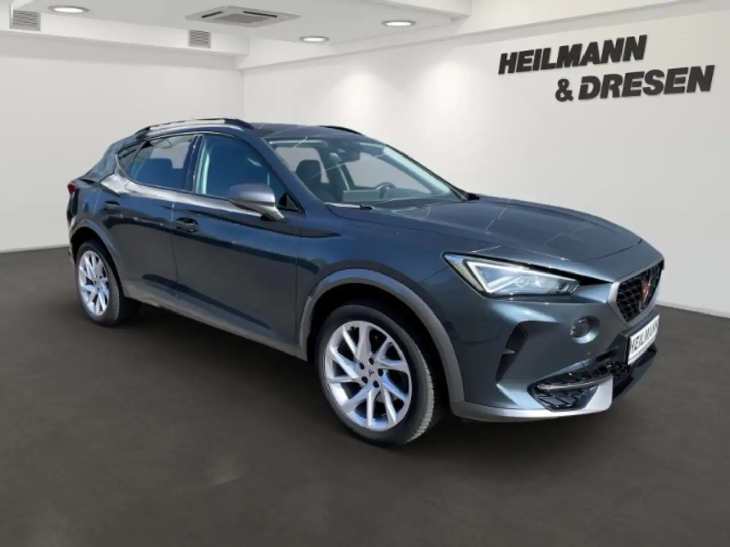 CUPRA Formentor 1.5 TSI Automatik/Navi/BeatsAudio/Lenkrad/Sitzheiz Grau - 2