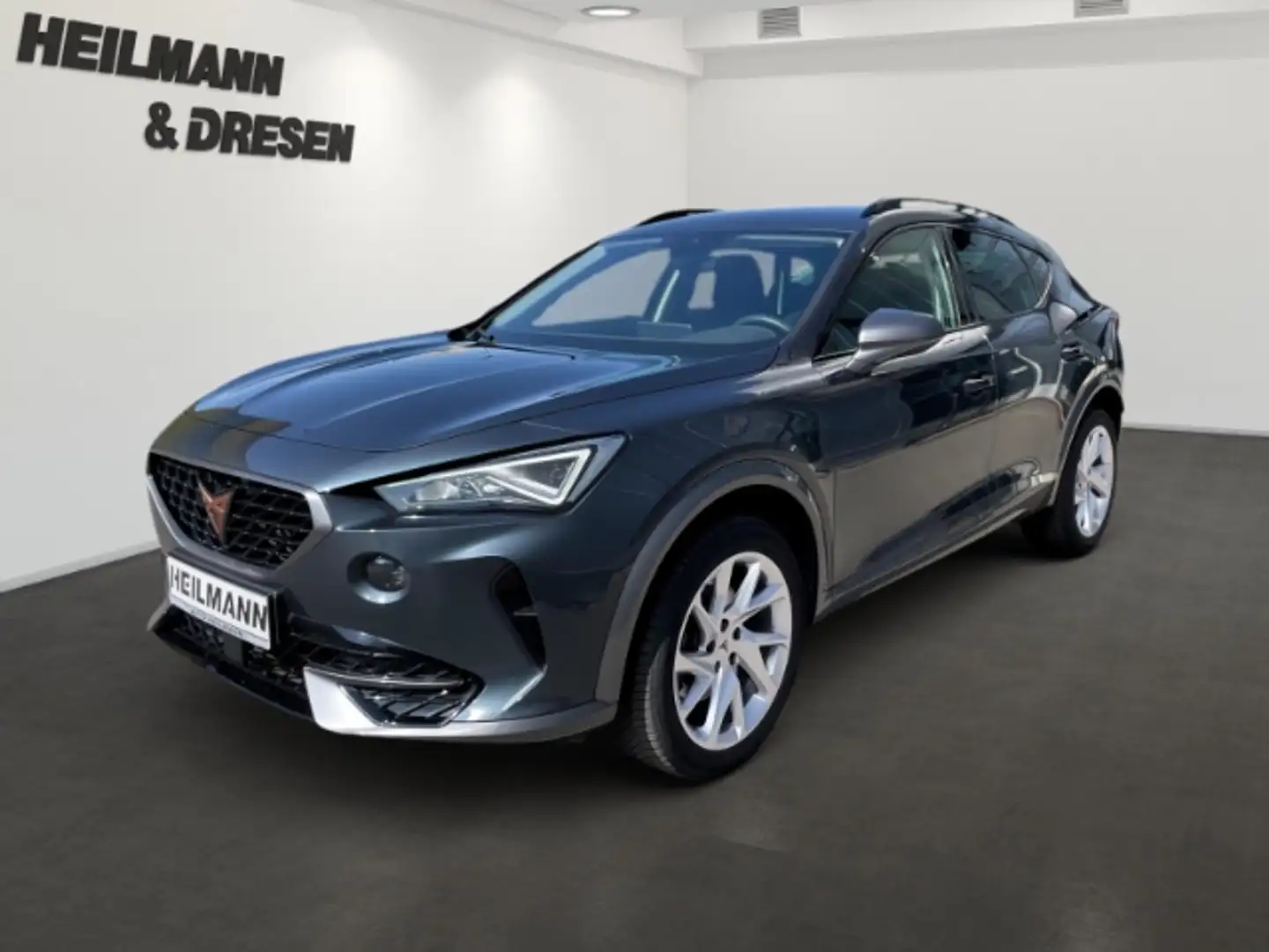 CUPRA Formentor 1.5 TSI Automatik/Navi/BeatsAudio/Lenkrad/Sitzheiz Grau - 1