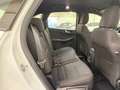 Ford Kuga Kuga III 2020 2.5 phev ST-Line 2wd 225cv cvt Blanc - thumbnail 10
