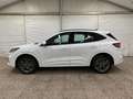 Ford Kuga Kuga III 2020 2.5 phev ST-Line 2wd 225cv cvt Blanc - thumbnail 3
