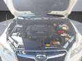 Subaru XV Comfort Weiß - thumbnail 21