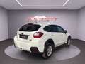 Subaru XV Comfort Weiß - thumbnail 5