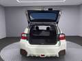 Subaru XV Comfort Weiß - thumbnail 20