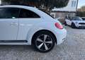 Volkswagen Coccinelle 2.0 TDI 140CH FAP SPORT Blanc - thumbnail 10
