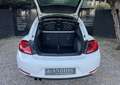 Volkswagen Coccinelle 2.0 TDI 140CH FAP SPORT Blanc - thumbnail 12