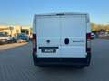 Fiat Ducato Furgone Trasporto Alimenti HACCP Bianco - thumbnail 6