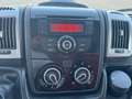 Fiat Ducato Furgone Trasporto Alimenti HACCP Bianco - thumbnail 11