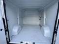 Fiat Ducato Furgone Trasporto Alimenti HACCP Bianco - thumbnail 14