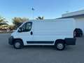 Fiat Ducato Furgone Trasporto Alimenti HACCP Bianco - thumbnail 8