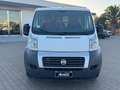 Fiat Ducato Furgone Trasporto Alimenti HACCP Bianco - thumbnail 2