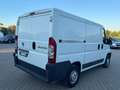 Fiat Ducato Furgone Trasporto Alimenti HACCP Bianco - thumbnail 5