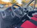 Fiat Ducato Furgone Trasporto Alimenti HACCP Bianco - thumbnail 9