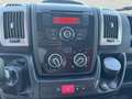Fiat Ducato Furgone Trasporto Alimenti HACCP Bianco - thumbnail 12