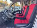 Fiat Ducato Furgone Trasporto Alimenti HACCP Bianco - thumbnail 10