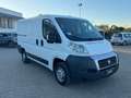 Fiat Ducato Furgone Trasporto Alimenti HACCP Bianco - thumbnail 3