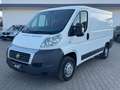 Fiat Ducato Furgone Trasporto Alimenti HACCP Bianco - thumbnail 1