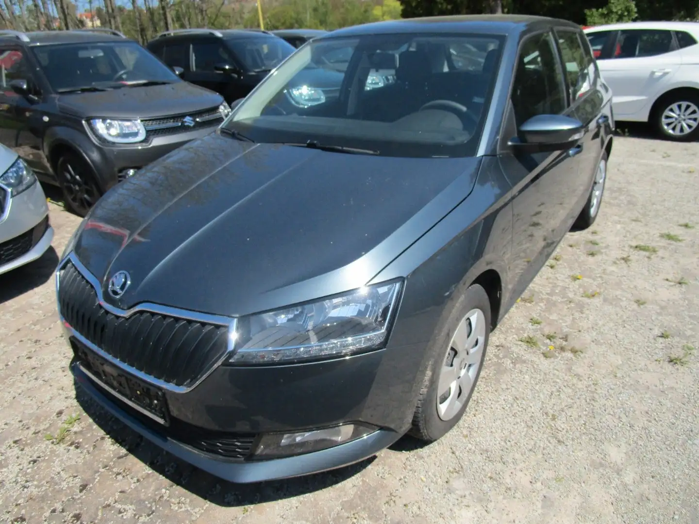 Skoda Fabia Active+WR Grigio - 1