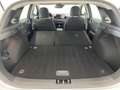 Kia Ceed / cee'd ceed 1,0 T-GDI GPF Titan plus Paket P1 Weiß - thumbnail 8