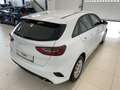Kia Ceed / cee'd ceed 1,0 T-GDI GPF Titan plus Paket P1 Weiß - thumbnail 5