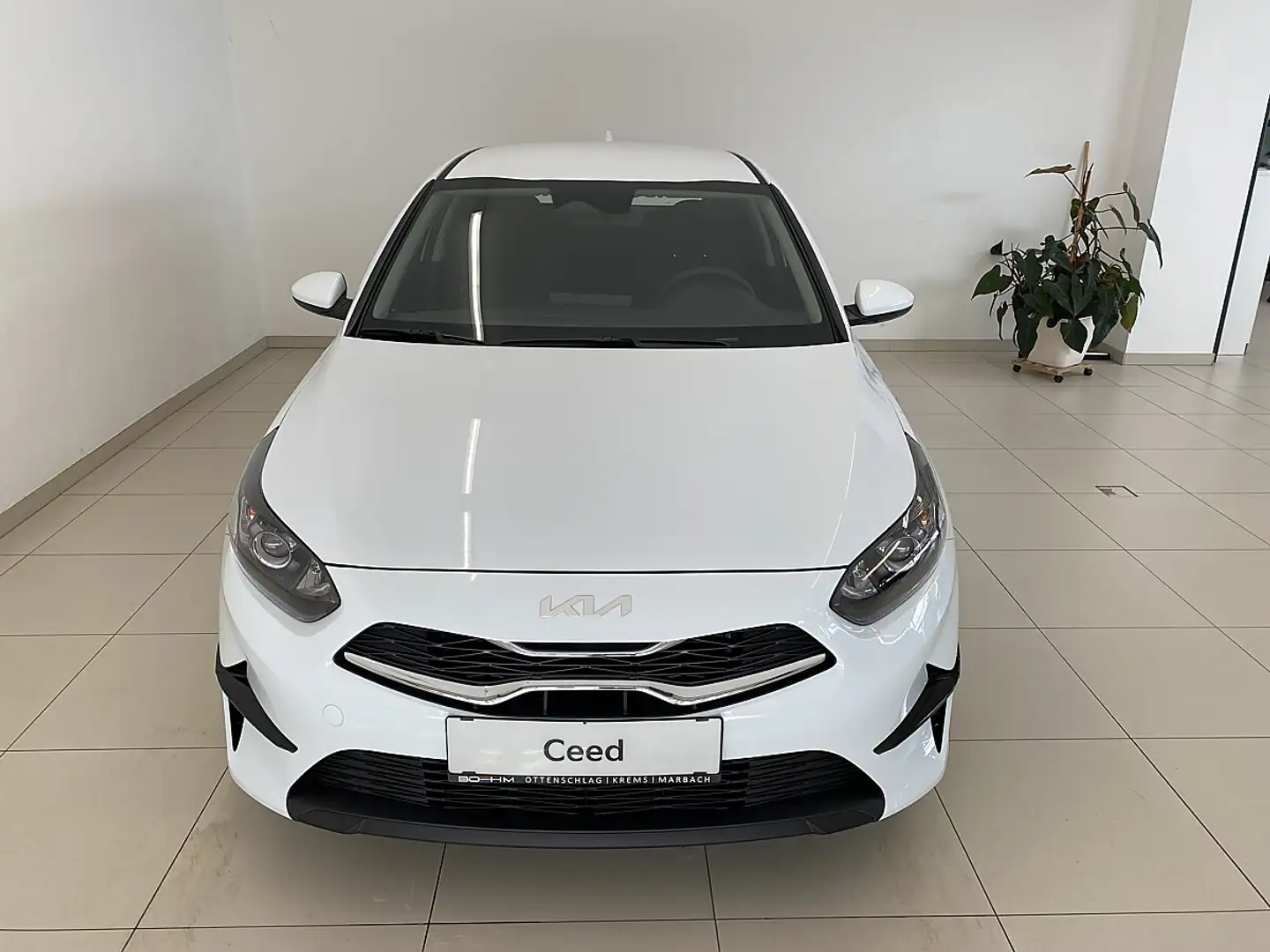 Kia Ceed / cee'd ceed 1,0 T-GDI GPF Titan plus Paket P1 Weiß - 2