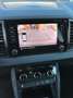 Skoda Karoq 2.0 tdi evo Ambition 115cv TELECAMERA, CAR PLAY! Grigio - thumbnail 9