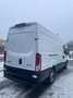 Iveco Daily Daily 35S16A8 L3H2 Kasten Weiß - thumbnail 5