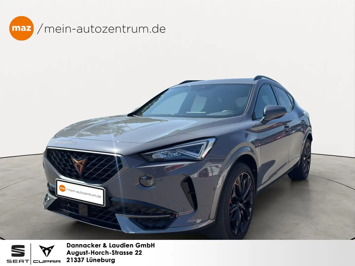 CUPRA Formentor 2.0 TSI VZ Alu LED Leder Pano Beats Navi Grau - 1