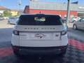 Land Rover Range Rover Evoque Mark III TD4 150 e-Capability Pure Blanc - thumbnail 6