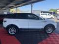 Land Rover Range Rover Evoque Mark III TD4 150 e-Capability Pure Blanc - thumbnail 20