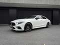 Mercedes-Benz CLS Voll - GARANTIE AMG Standheizung 20" Schiebedach Burmester 360° Kamera Sportsitze MULTIBEAM Weiß - thumbnail 24